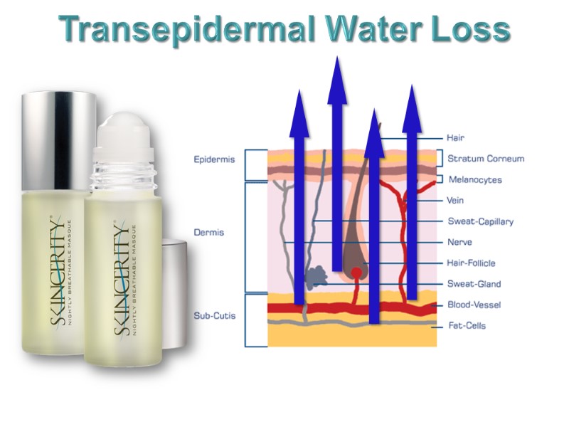 Transepidermal Water Loss